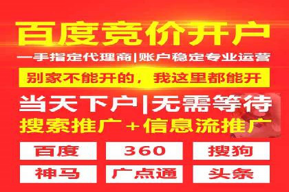 SEM代运营服务公司案例分析：数据驱动营销策略
